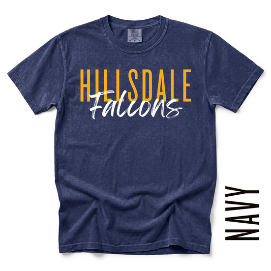 HILLSDALE FALCONS TEE!